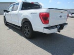 2023 F-150 Thumbnail 7
