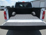 2023 F-150 Thumbnail 14