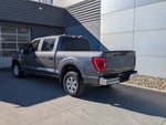2023 F-150 Thumbnail 6