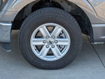 2023 F-150 Thumbnail 11