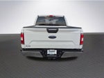 2020 F-150 Thumbnail 6