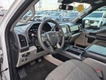 2020 F-150 Thumbnail 13