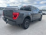 2021 F-150 Thumbnail 11