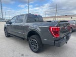 2021 F-150 Thumbnail 14