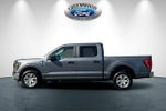 2023 F-150 Thumbnail 7