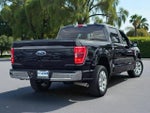 2023 F-150 Thumbnail 5