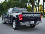 2023 F-150 Thumbnail 7