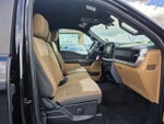 2023 F-150 Thumbnail 10