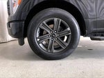 2023 F-150 Thumbnail 6