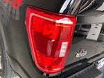 2023 F-150 Thumbnail 13