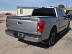 2023 F-150 Thumbnail 4
