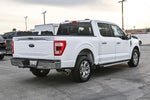 2023 F-150 Thumbnail 7