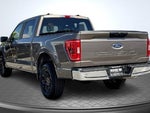 2023 F-150 Thumbnail 13