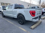 2023 F-150 Thumbnail 3