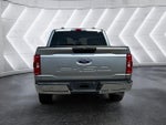 2023 F-150 Thumbnail 18