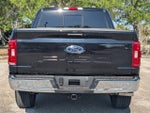 2023 F-150 Thumbnail 6