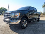 2023 F-150 Thumbnail 9