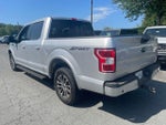 2019 F-150 Thumbnail 3