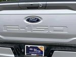 2021 F-150 Thumbnail 10