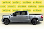 2022 F-150 Thumbnail 12