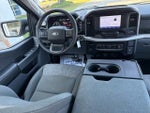 2023 F-150 Thumbnail 14