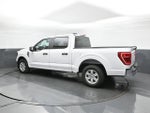 2023 F-150 Thumbnail 5