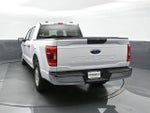 2023 F-150 Thumbnail 8