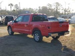 2023 F-150 Thumbnail 3