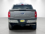 2023 F-150 Thumbnail 4