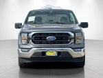 2023 F-150 Thumbnail 8