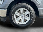 2023 F-150 Thumbnail 22