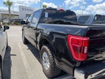 2023 F-150 Thumbnail 3