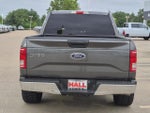 2017 F-150 Thumbnail 5