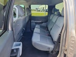 2021 F-150 Thumbnail 10