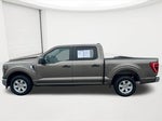 2023 F-150 Thumbnail 8