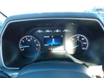 2023 F-150 Thumbnail 14
