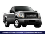 2010 F-150 Thumbnail 1