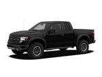 2010 F-150 Thumbnail 2