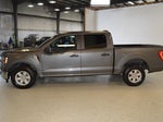 2023 F-150 Thumbnail 6