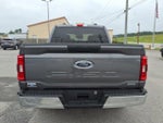 2023 F-150 Thumbnail 3