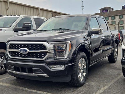 2023 Ford F-150 4X2 XL 4DR Supercrew 5.5 FT. SB