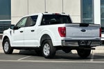 2023 F-150 Thumbnail 5