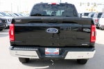2023 F-150 Thumbnail 6