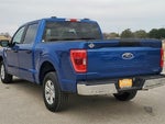 2023 F-150 Thumbnail 7