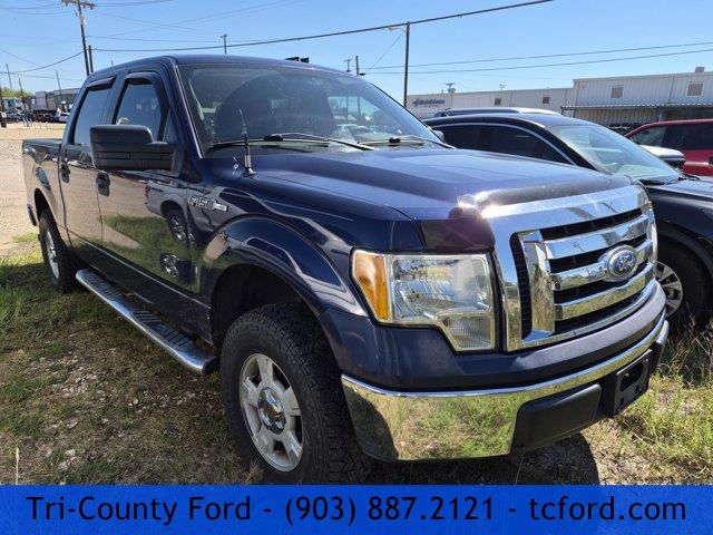 2010 Ford F-150