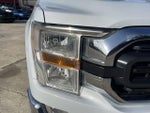 2021 F-150 Thumbnail 10