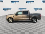 2023 F-150 Thumbnail 5