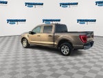 2023 F-150 Thumbnail 6