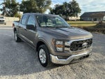 2023 F-150 Thumbnail 10