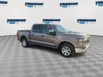 2023 F-150 Thumbnail 2